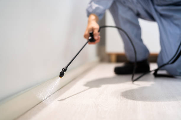 Bed Bug Pre-Treatment Preparation Assessment in Cedar Hill