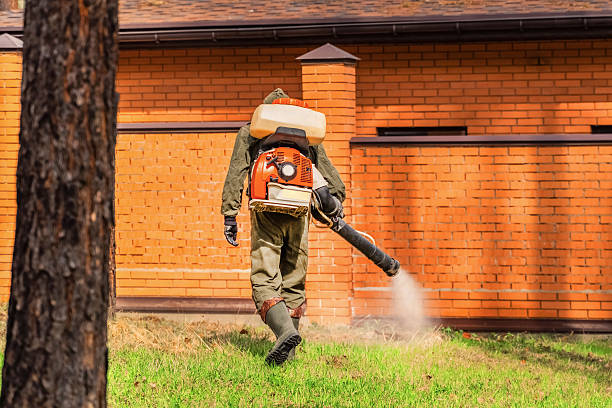 Bed Bug Clearance Verification and Documentation in Cedar Hill